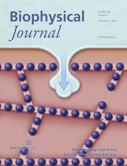 Biophysical Journal, November 2013