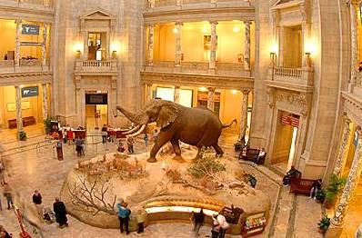 Smithsonian Museum of Natural History